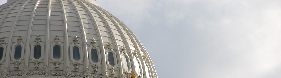 icon image for Regulations and Policies service area: U.S. Capitol dome